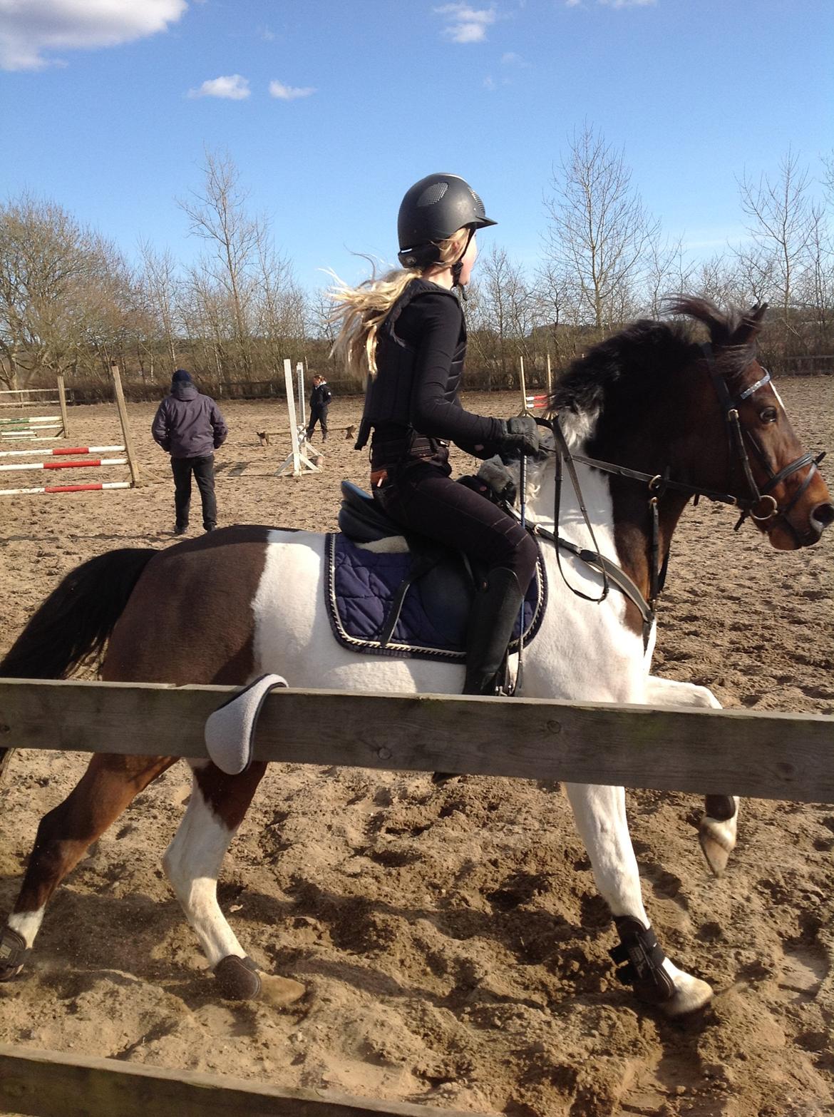 Anden særlig race Hopla billede 9