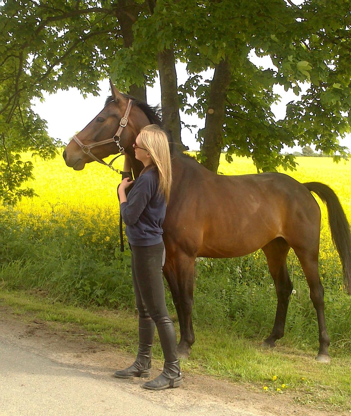 Dansk Varmblod Kastaniegårdens Nivea - Nivea og jeg på gåtur en dejlig sommerdag :-) billede 1