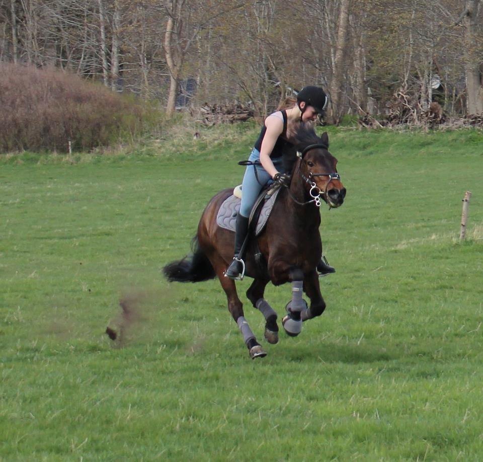 Anden særlig race Balou - April 2013. billede 8