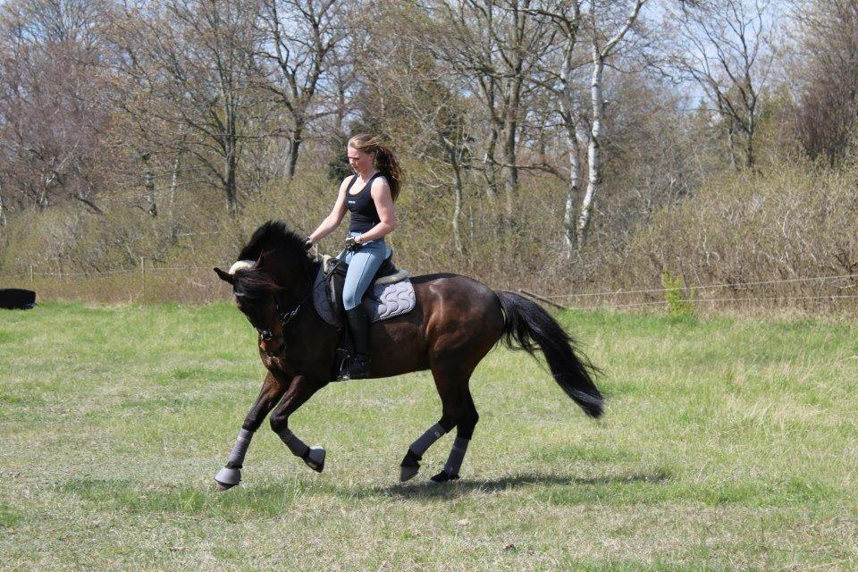 Anden særlig race Balou - April 2013 <3 billede 9