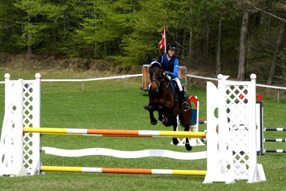 Anden særlig race Anna-bel Lambæk billede 2