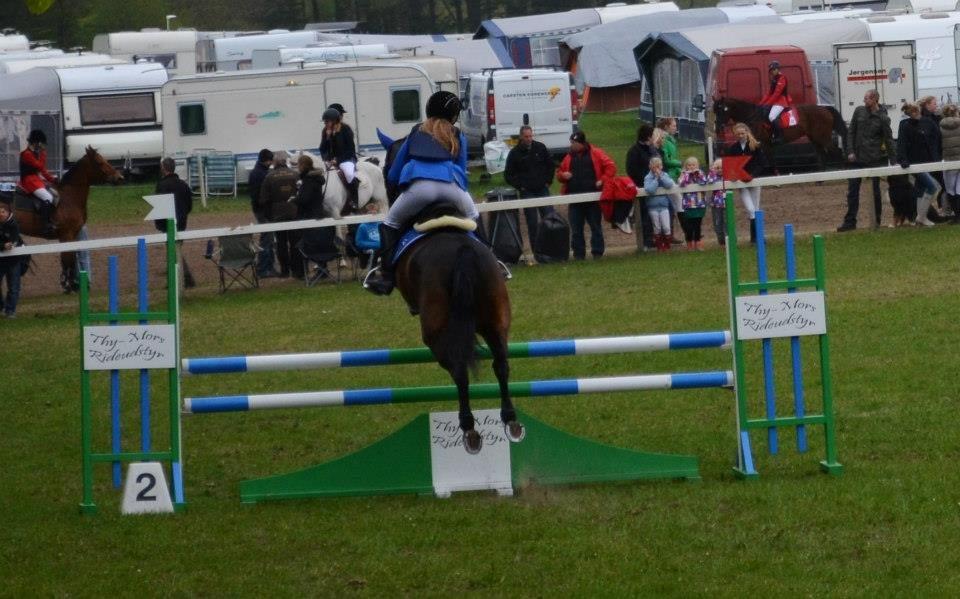 Anden særlig race Anna-bel Lambæk billede 5