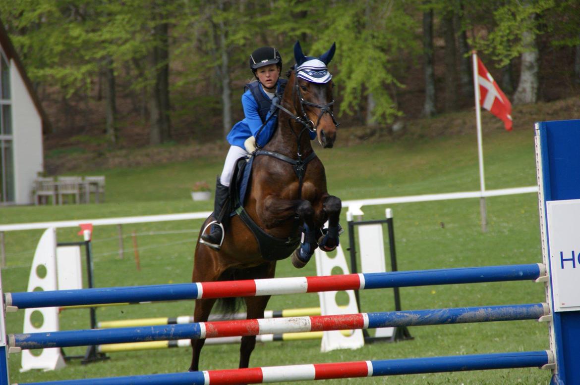 Anden særlig race Anna-bel Lambæk billede 3