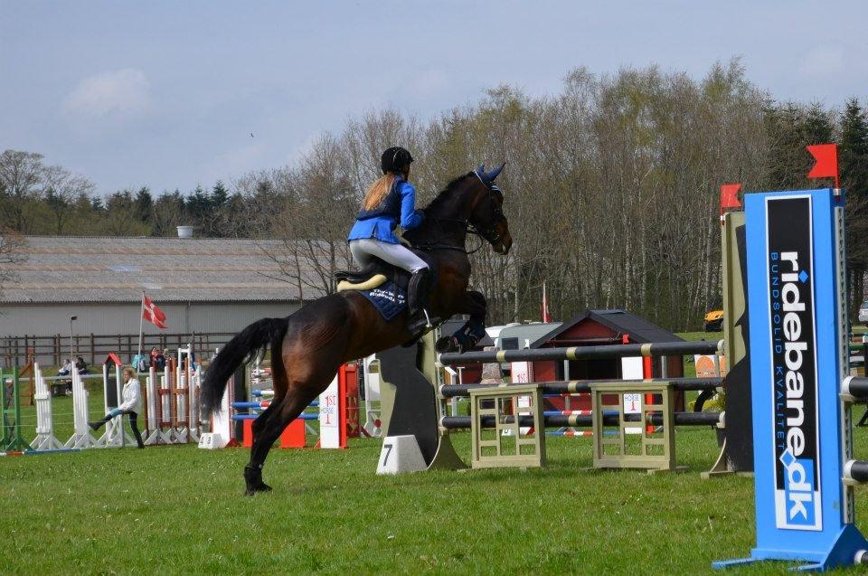 Anden særlig race Anna-bel Lambæk billede 6