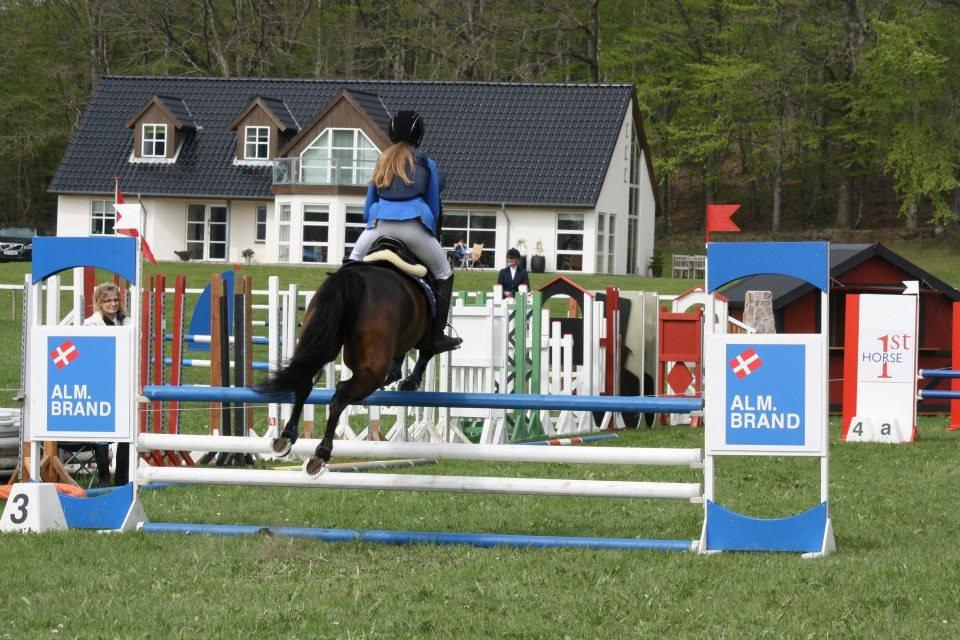 Anden særlig race Anna-bel Lambæk billede 4