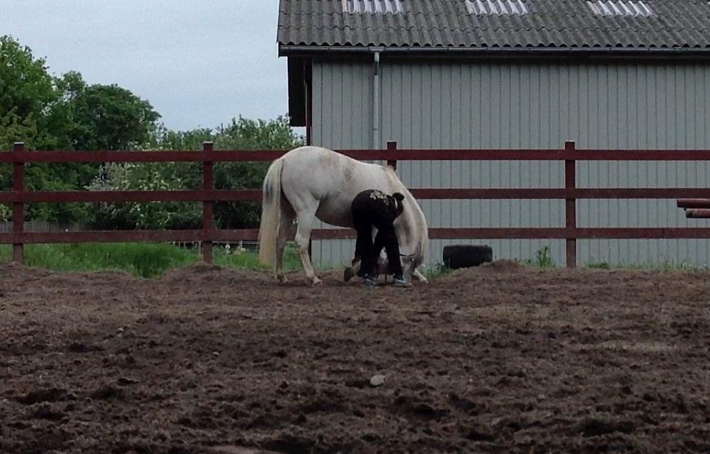 Anden særlig race Pepito my only one! <3 billede 6