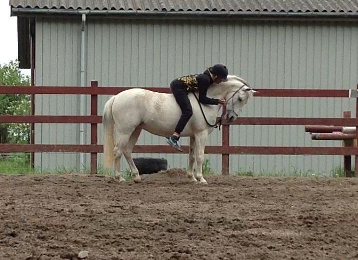 Anden særlig race Pepito my only one! <3 billede 14