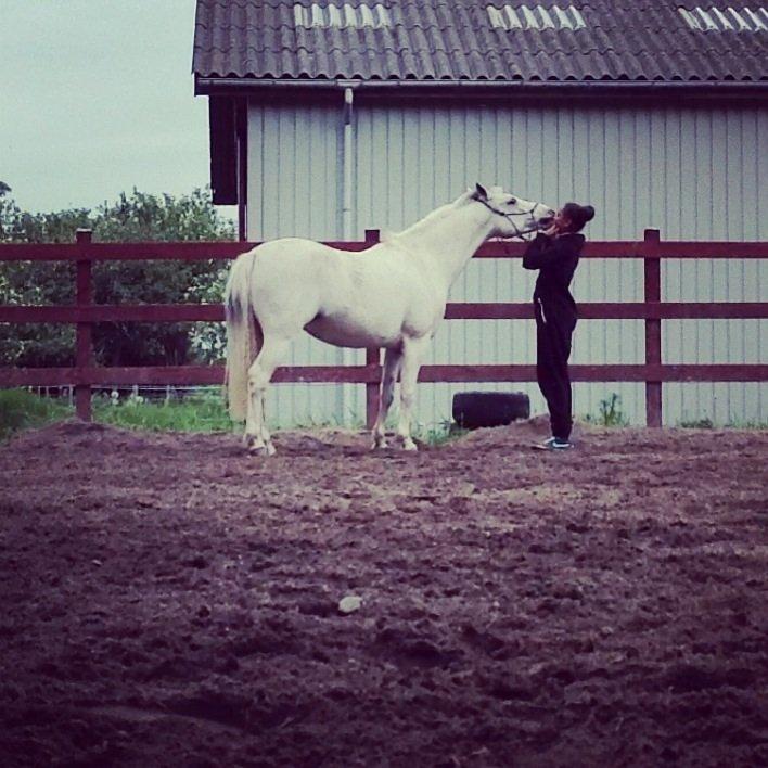 Anden særlig race Pepito my only one! <3 billede 11