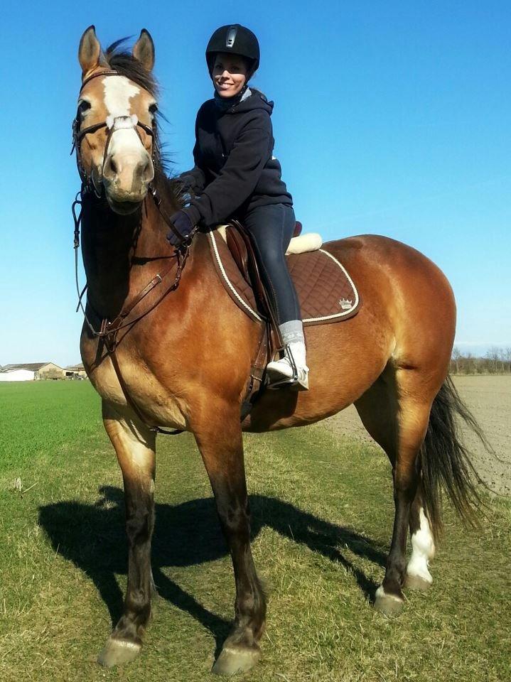 Anden særlig race Wariant<3 My Pride! Himmelhest - 20.04.13 Jeg på Wante <3 billede 1