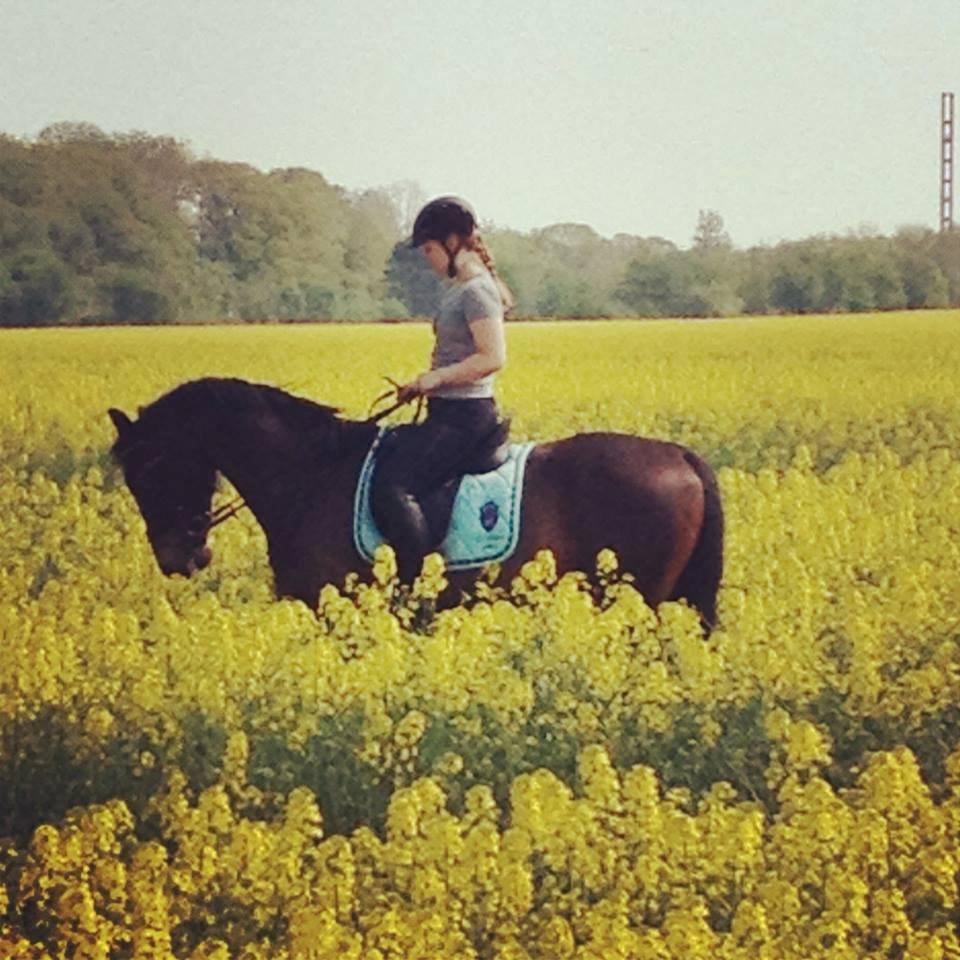 Oldenborg Ravnkjermindes Navigator - Snipper og nye ejer Sophie, de er så smukke!  billede 1