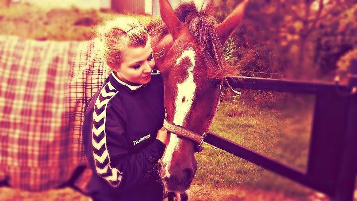 Standardbred Jaqueline Egely "Luna" - Sommerhus, 2012
Fotograf: Thomas Kragh billede 2