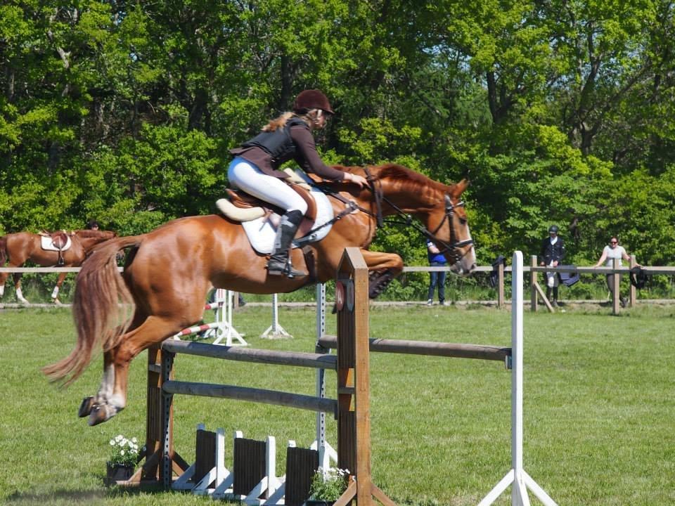 Branderburger Duccio billede 15