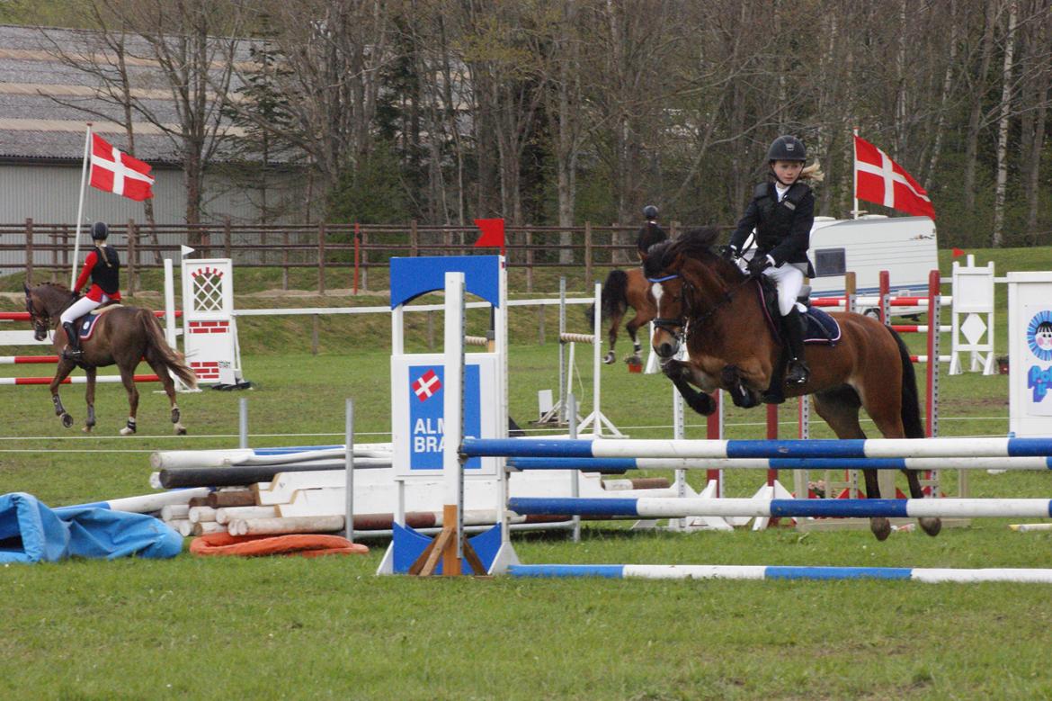 Welsh Pony (sec B) Rughaven Chivas - Caroline og Chivas på Morsø her i La. billede 3
