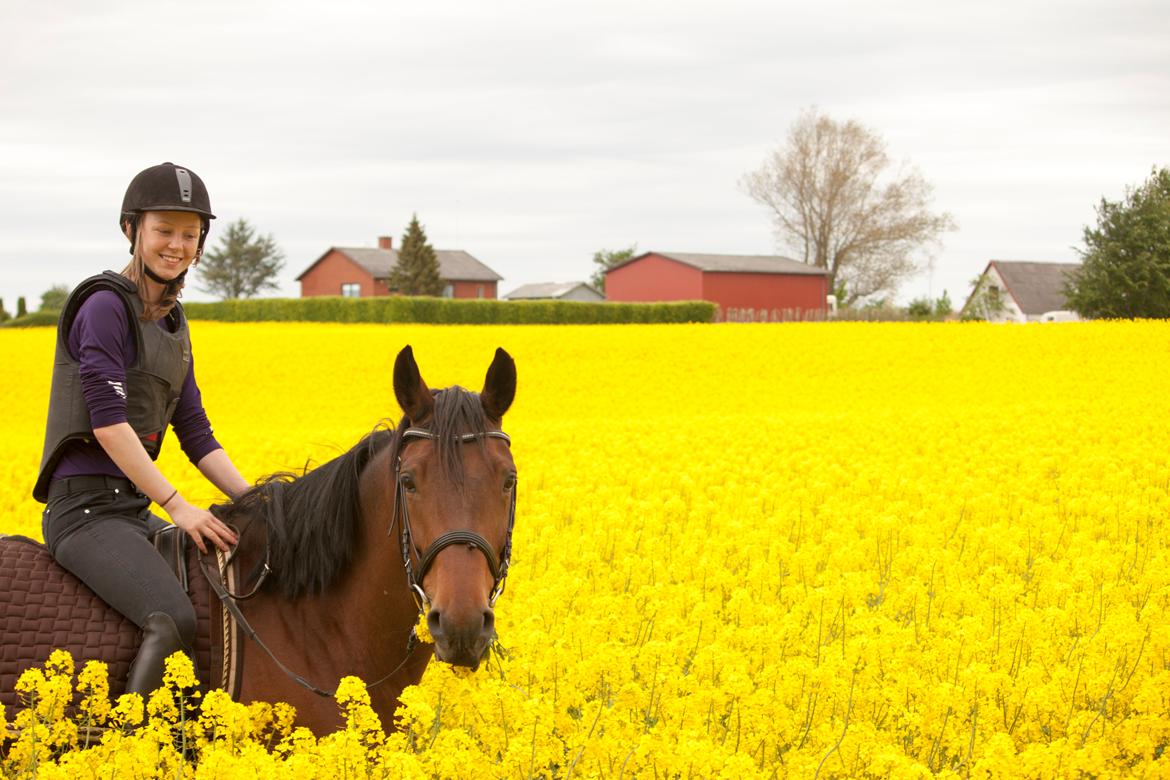 Hannoveraner Rufina - Forår 2013 billede 19