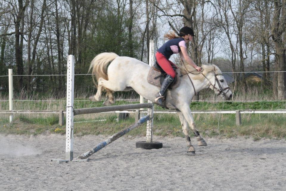 Anden særlig race Duet- min stjerne<3 - Bagbens teknik!!! maj 2013 billede 19