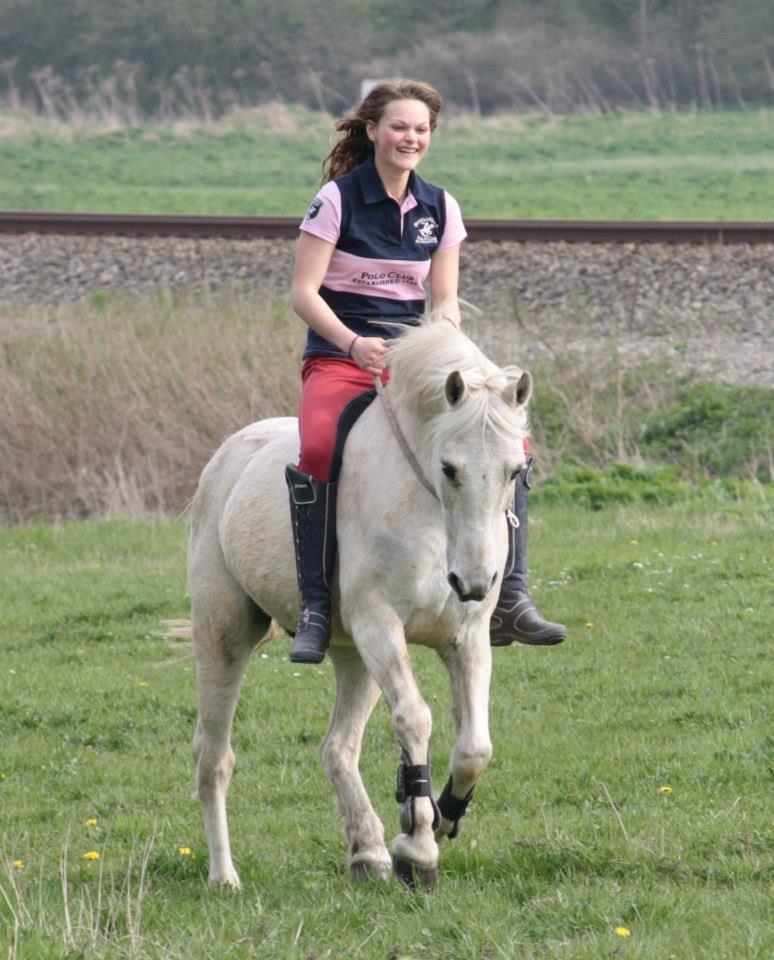 DSP Mascot-My soulmate<3 - ligner en tard men fantastisk pony!<3 billede 20