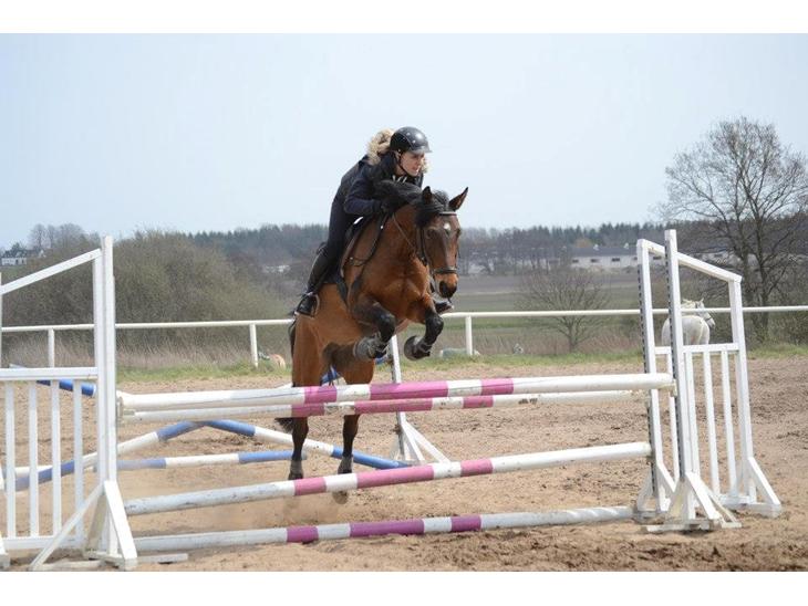 {{currentPhoto.altText}} billede {{currentPhoto.number}}