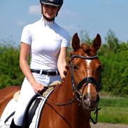 DSP Nørlunds Vivaldi