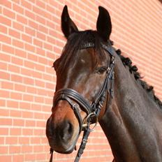 Traver Julius R.I.P :'(