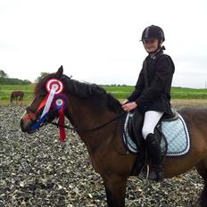 Anden særlig race Cassiopeia