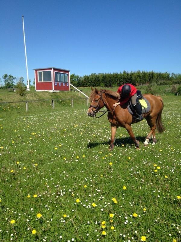 DSP Martini asti - velkommen billedet er for anden gang jeg var ude at prøve hende :D billede 1