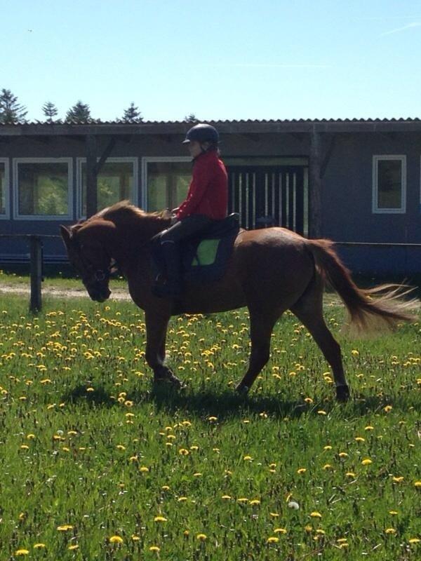 DSP Martini asti - igen 2 gang jeg var ude at prøve hende <3 billede 2