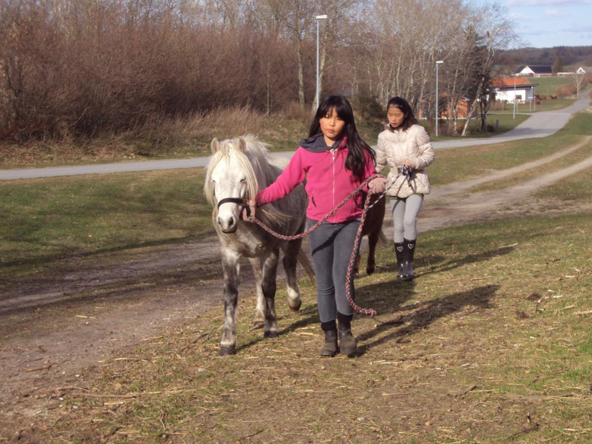 Anden særlig race Milton Solgt - mig og Milton billede 8