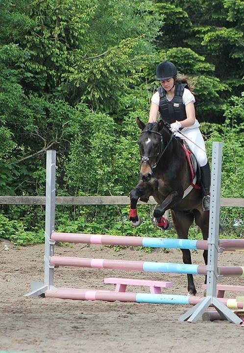 New Forest Elmholts Furore  - Stjerne <3 Foto: Simone S billede 13