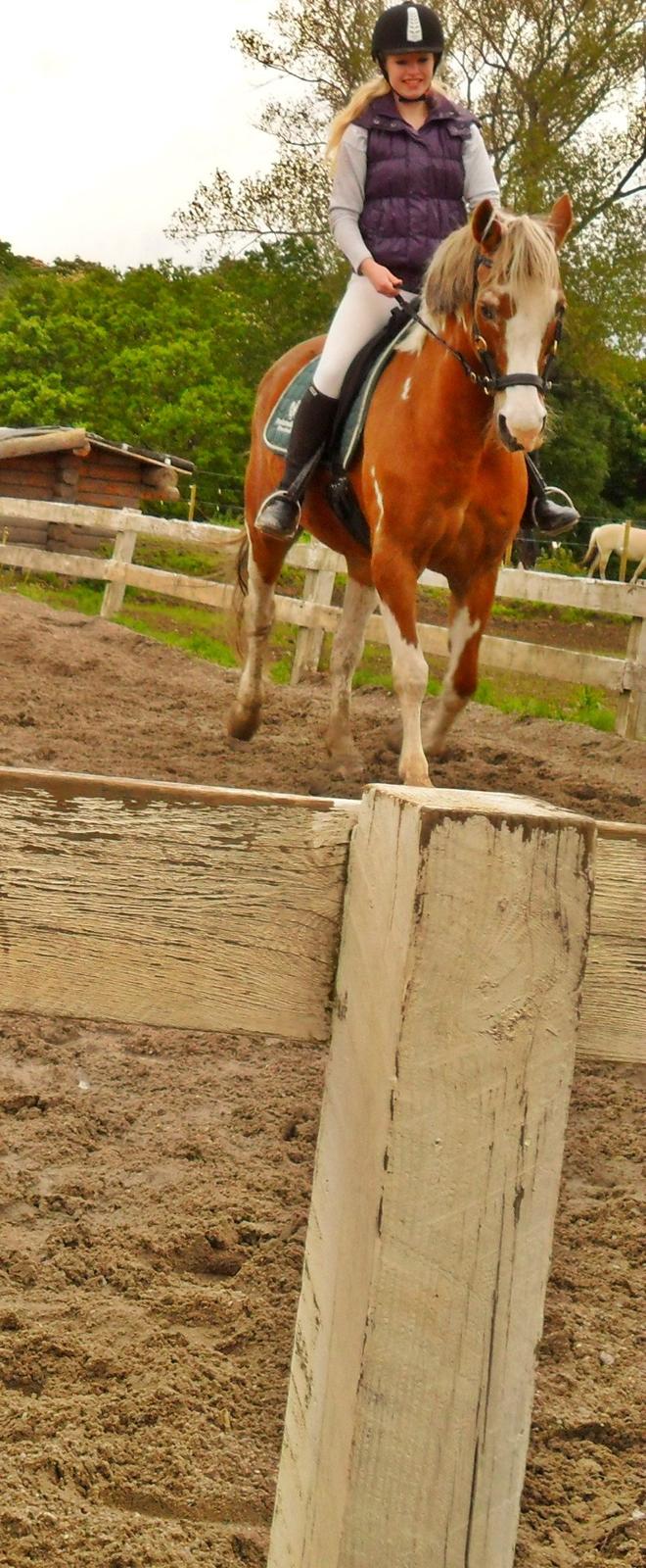 Pinto † Pucahontas † billede 12