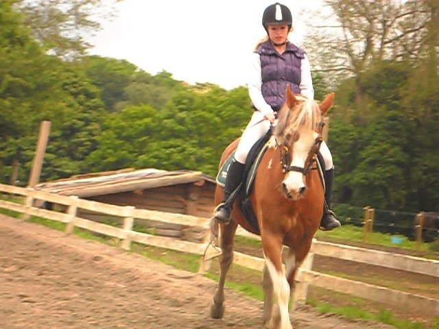 Pinto † Pucahontas † billede 13