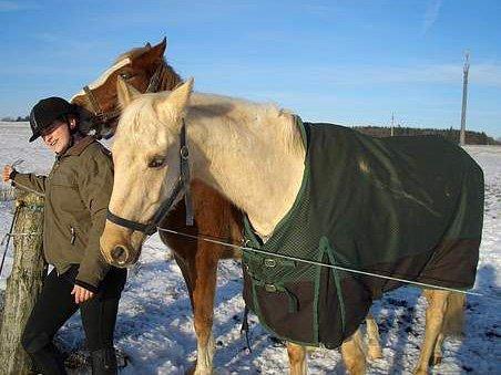 Palomino Palomino - Solgt billede 8