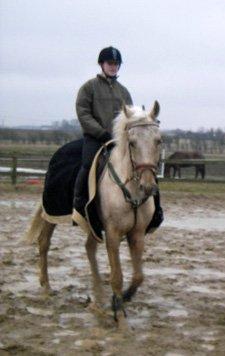 Palomino Palomino - Solgt billede 13