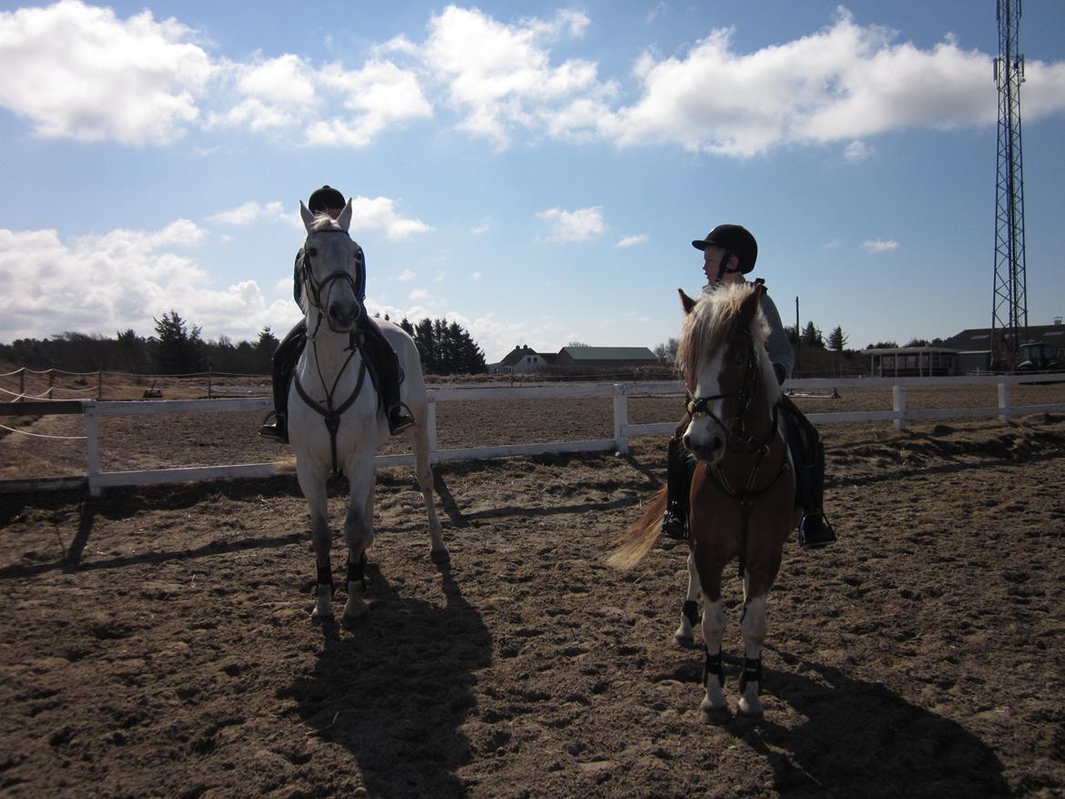 Pinto Apple Jack - Mig og min veninde!<3 billede 6