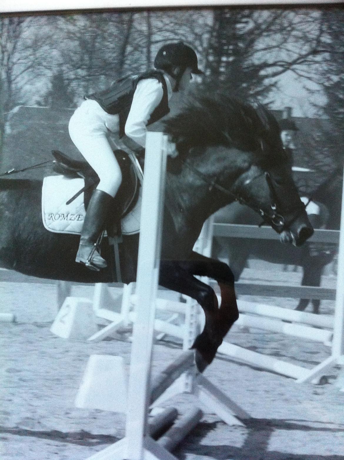 Anden særlig race Romze - spring jubiii billede 3