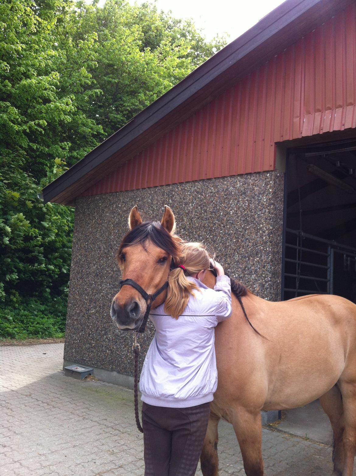 Anden særlig race Dumbledore  - Den bedste hævn er at være lykkelig - og du gør det fuldt ud Dumle! billede 7