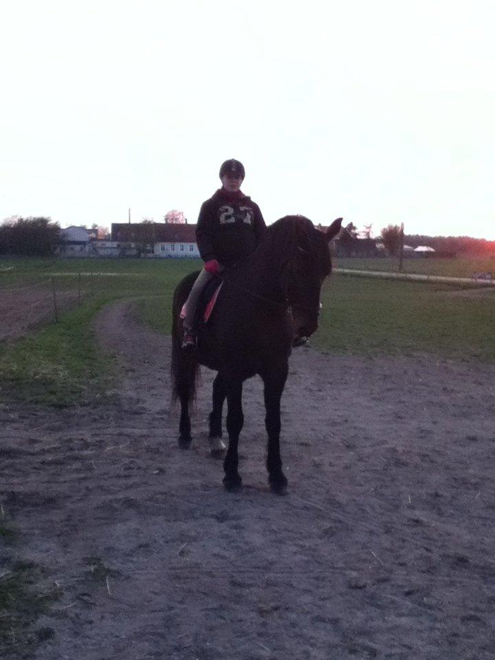 Oldenborg Danilo billede 6