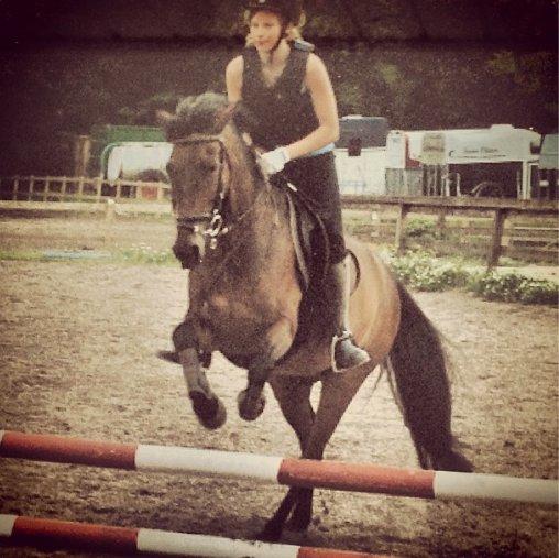 Anden særlig race Felix billede 4