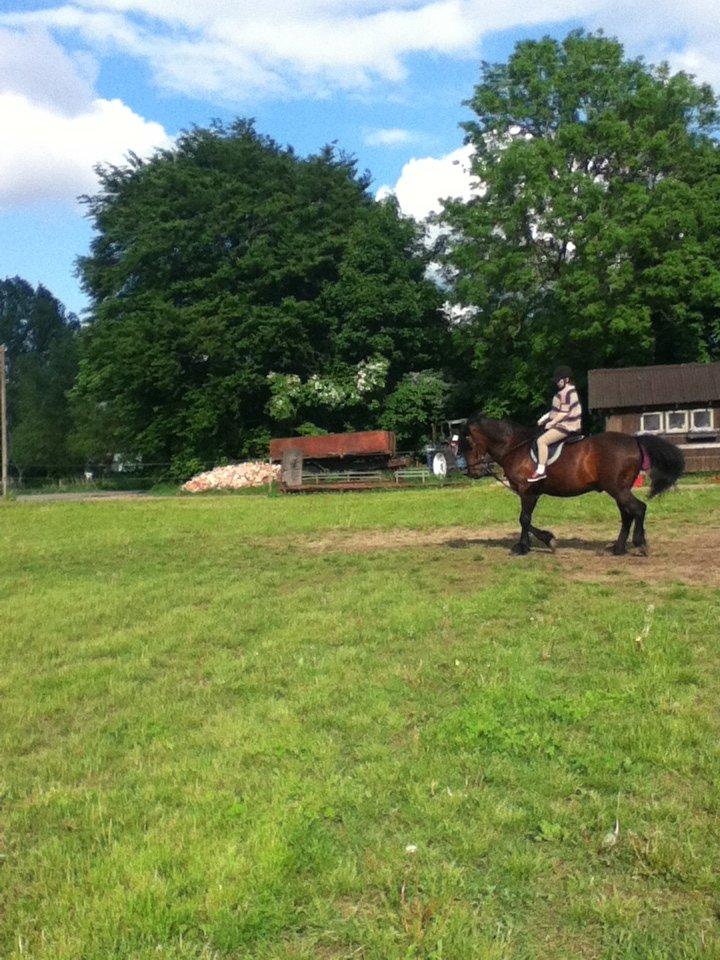 Oldenborg Danilo billede 7