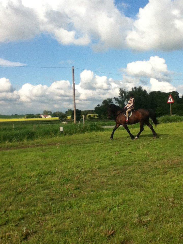 Oldenborg Danilo billede 8