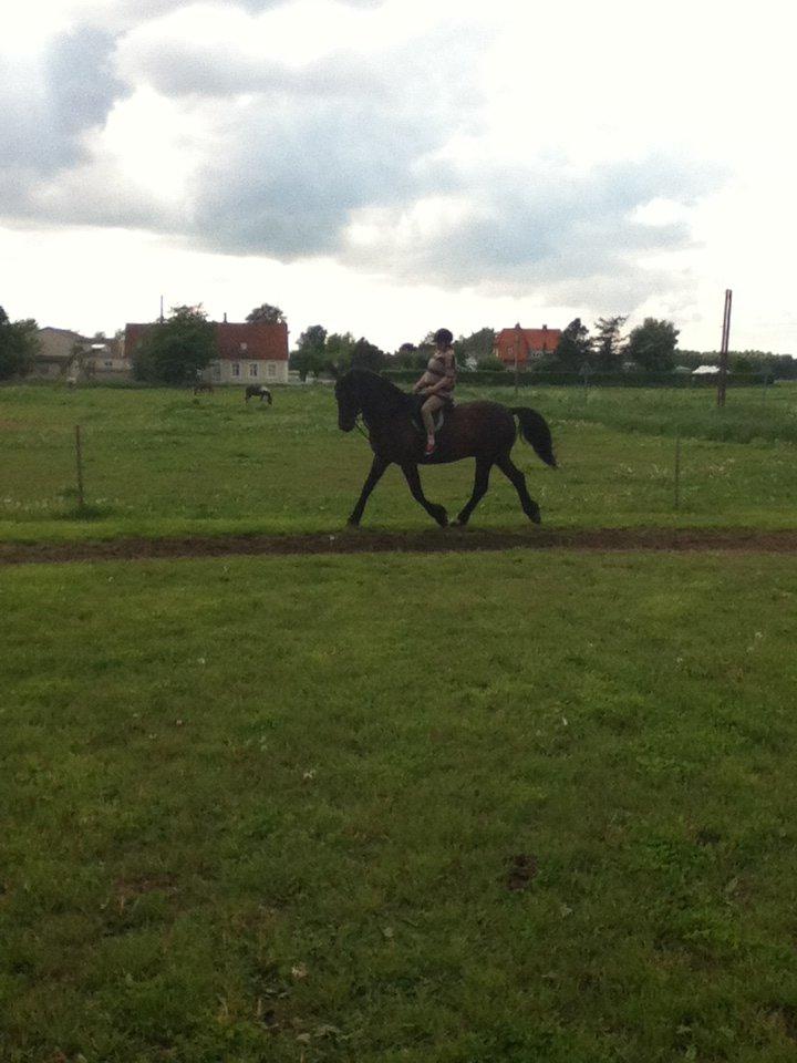 Oldenborg Danilo billede 9