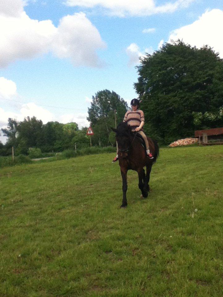 Oldenborg Danilo billede 12