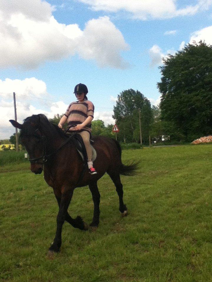 Oldenborg Danilo billede 13