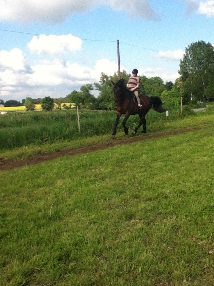 Oldenborg Danilo billede 14