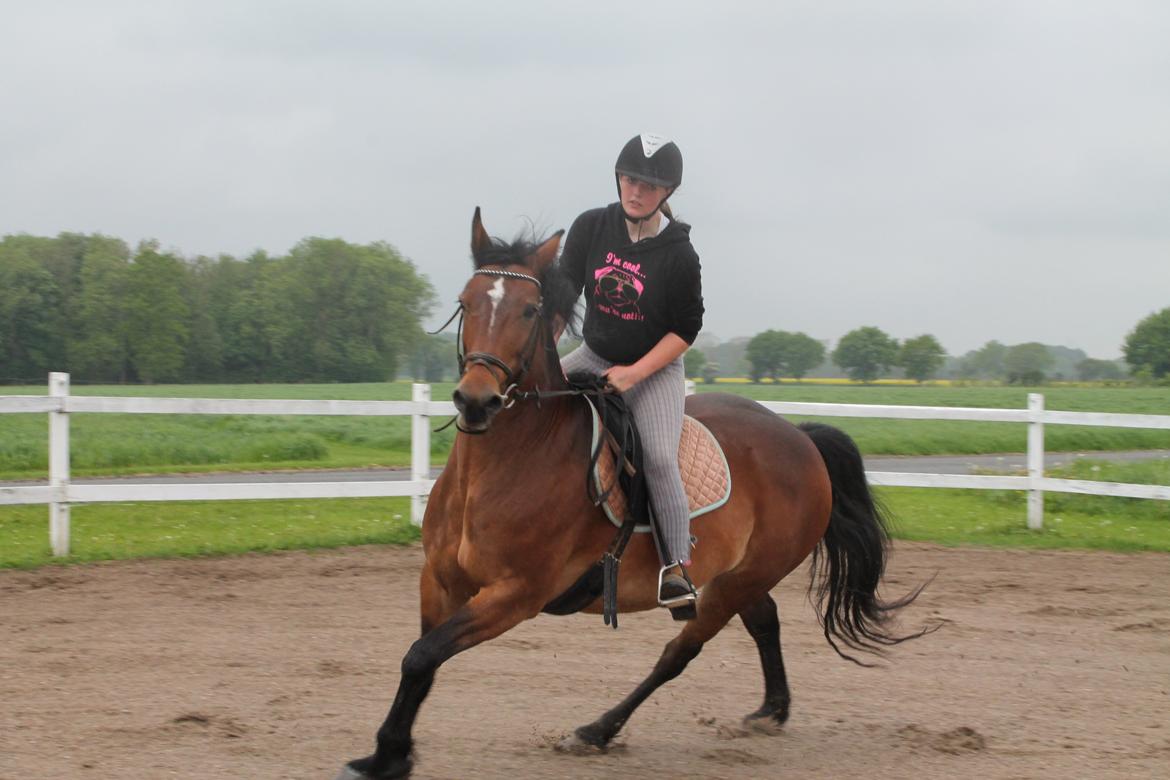 Anden særlig race Fabienne - 29-05-2013. billede 13