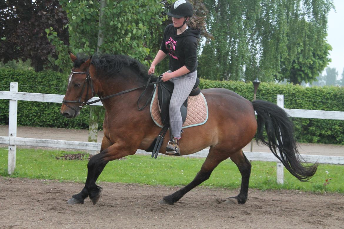 Anden særlig race Fabienne - 29-05-2013. billede 2