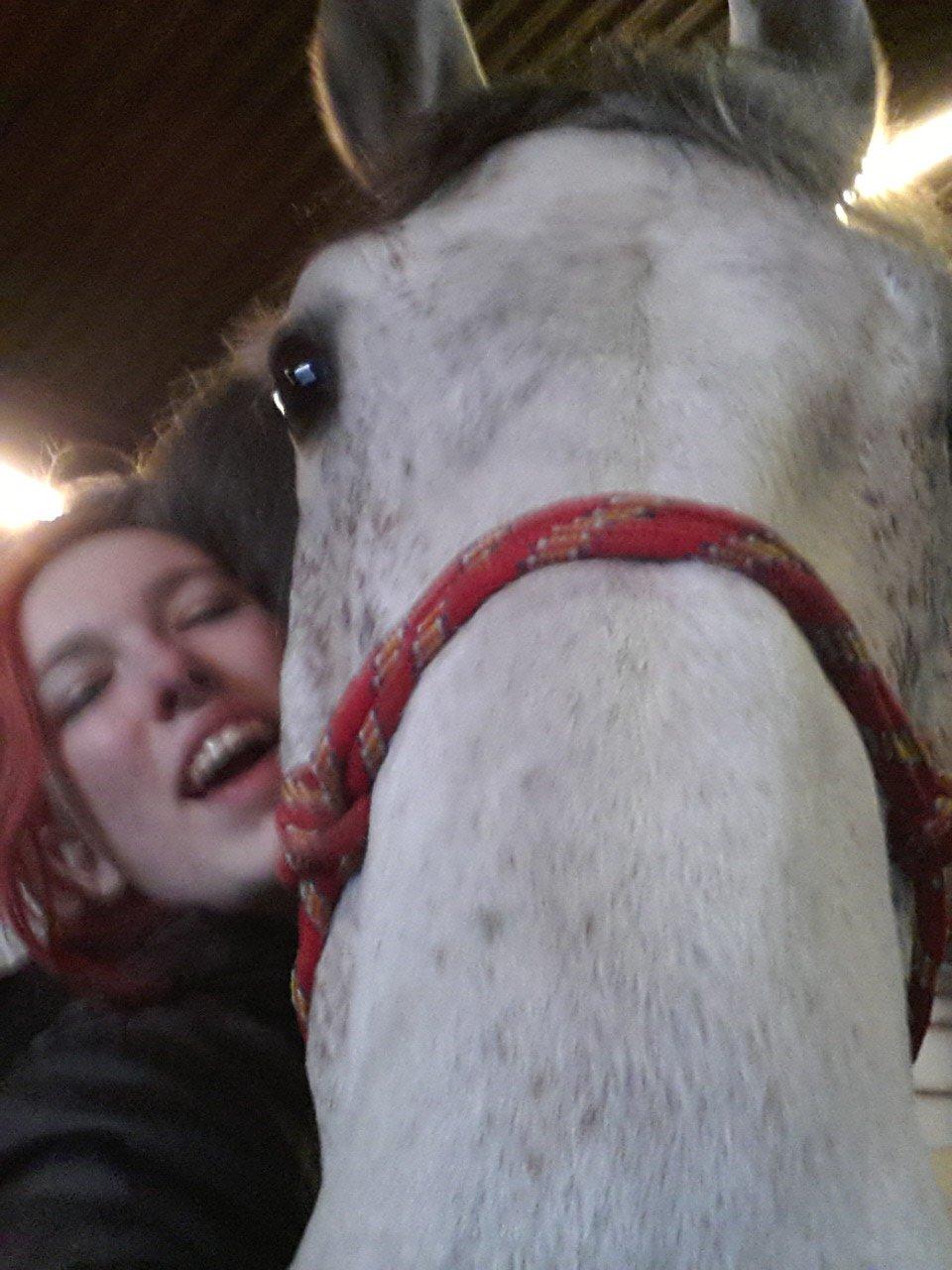 Dansk Varmblod Leto - Kan du komme til Leto? :-D billede 11