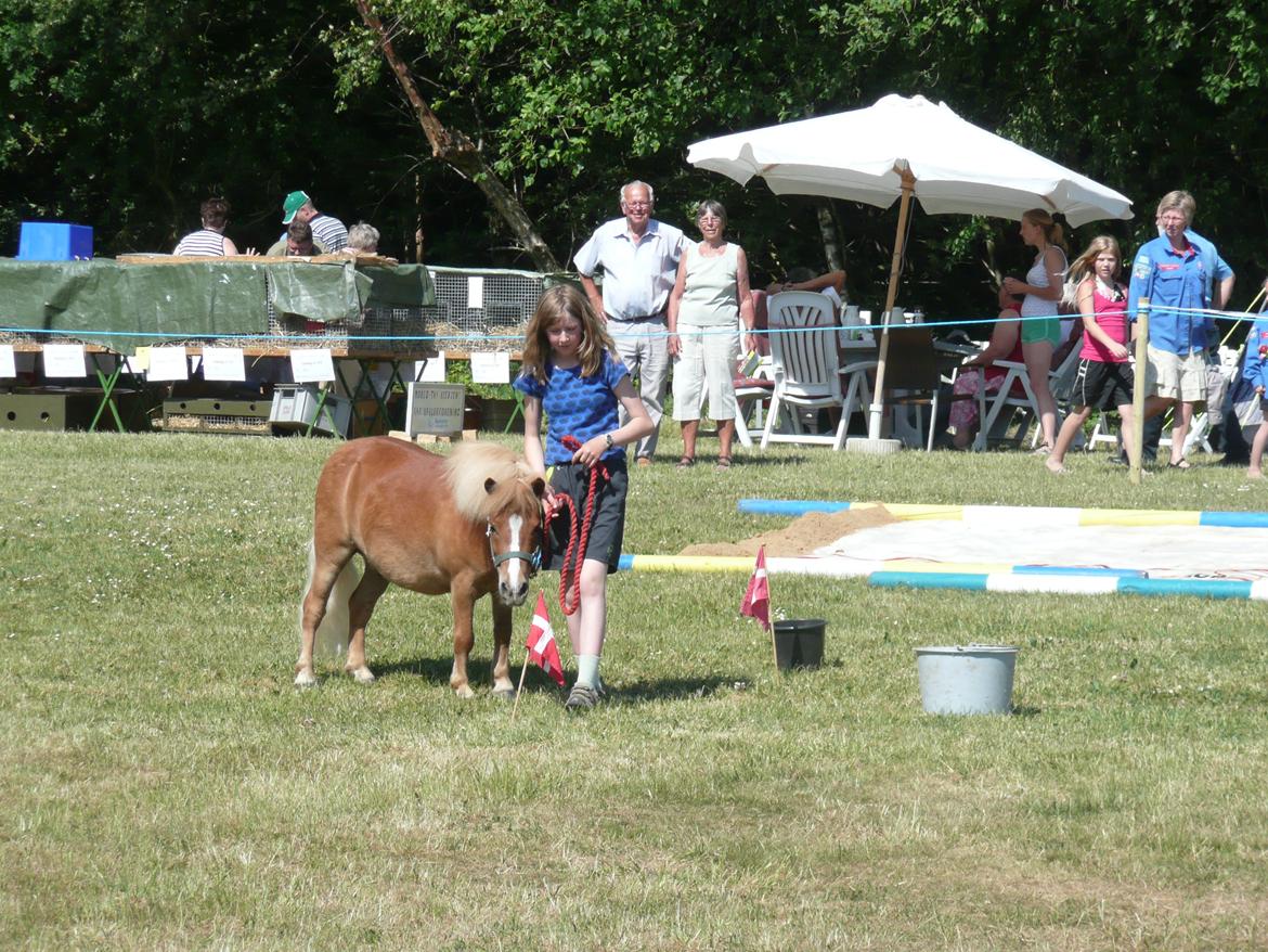 Shetlænder Jochum - Juni 2008. Jochum og jeg til hesteagility, første år det blev afholdt. Det lokale dyrskue. billede 18