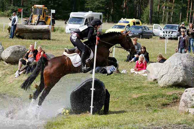 Dansk Varmblod Toftegårdens Carisma - Vinder af CNC* i Gärds, Sverige, 2012 billede 1