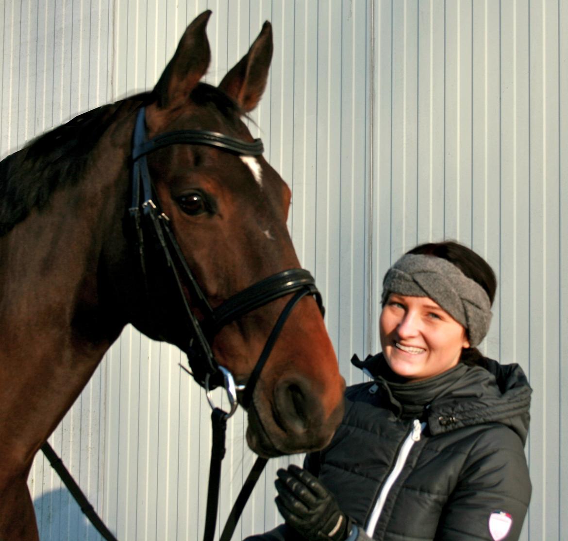 Dansk Varmblod Toftegårdens Carisma billede 19