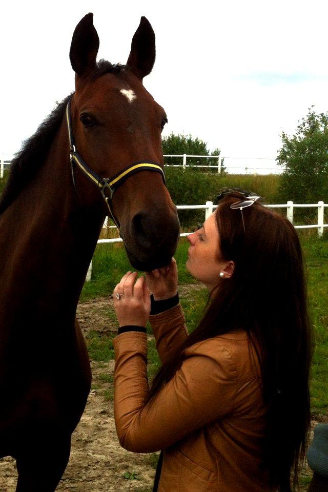 Dansk Varmblod Toftegårdens Carisma - Sidste dag med Karry, sidste dag hun var min.
Sverige 2012. <3 billede 2